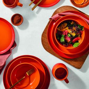 Le Creuset Stoneware Volcanic Coupe Dinner Plate 27cm